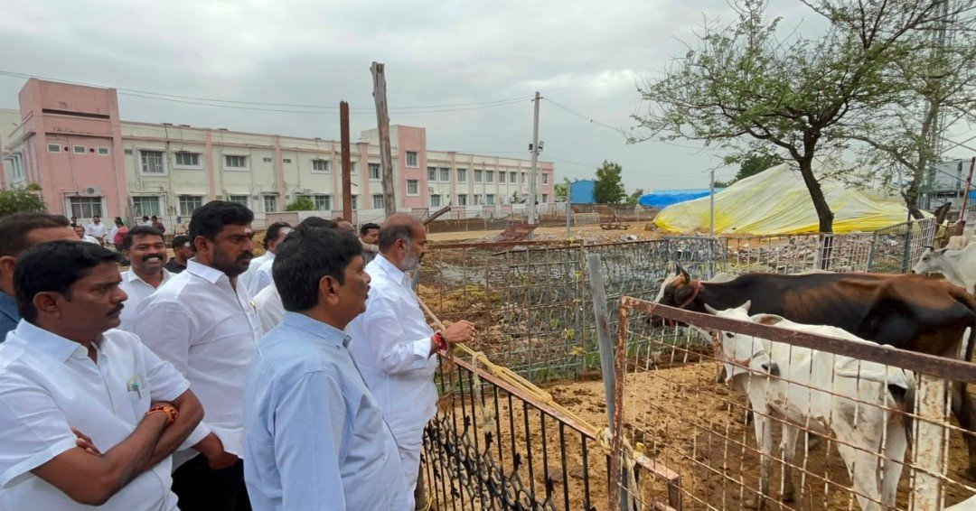 కోడెల సంరక్షణలో నిర్లక్ష్యానికి తావులేదు - Additional Image